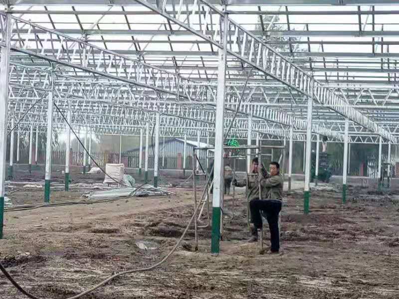 光伏智能溫室大棚建設四大特點